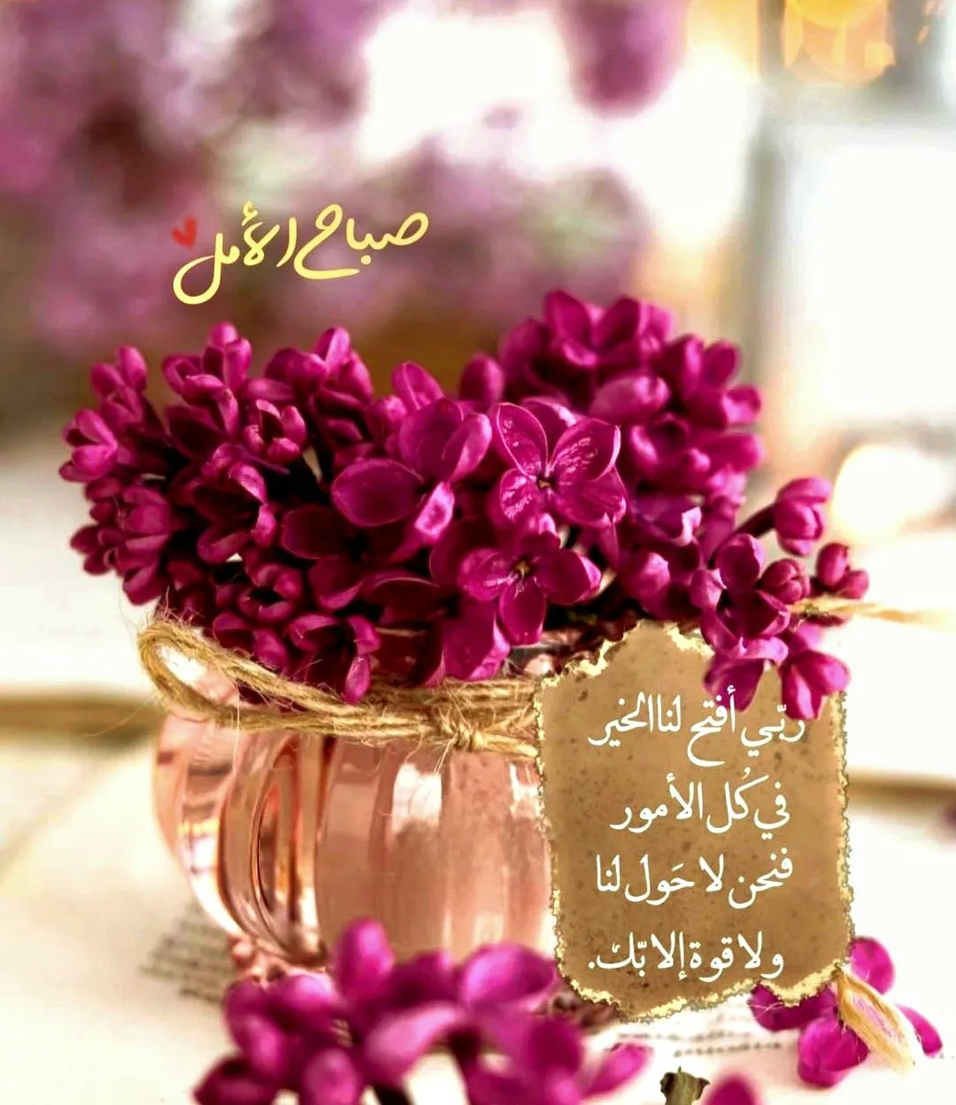 صورة محمد حاتم السلام